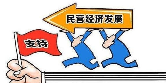 家政服务业怎么入行康乃馨